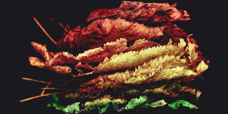 从货运代理到绿色先锋：国际物流供应链的可持续发展转型之路