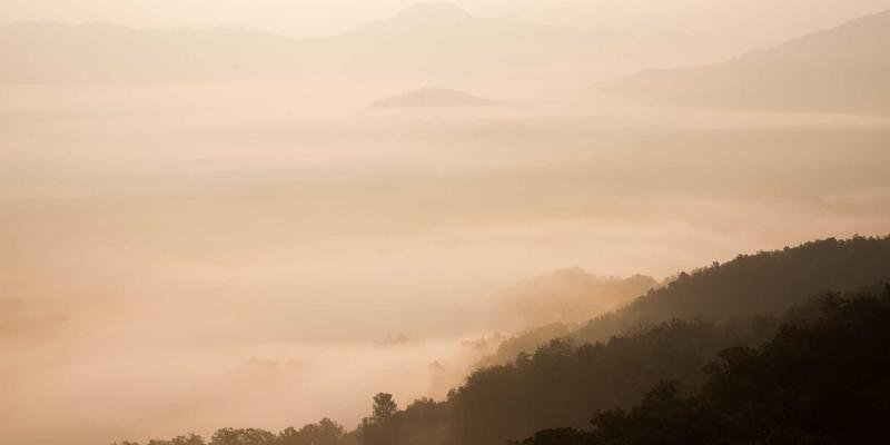 国际物流通关必修课：深度解析关税计算与关键贸易术语，助您规避风险、优化成本