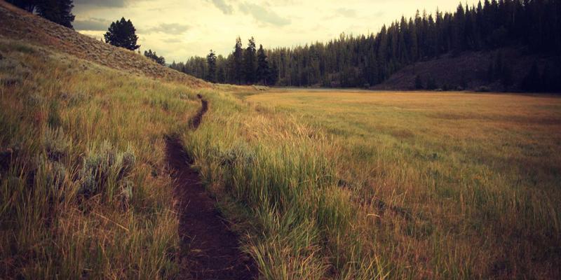 通关无忧,货畅其流:国际物流包装标准化如何赋能报关、货代与仓储配送